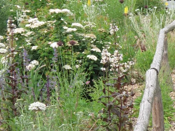 Naturalistic Garden