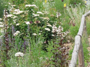 Naturalistic Garden